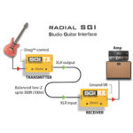 radial_sgi
